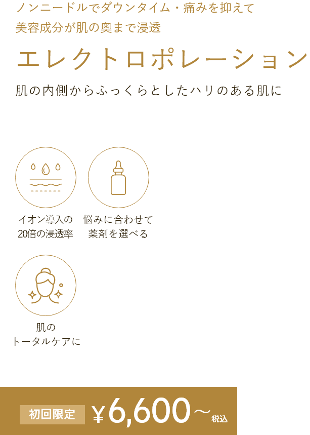 エレクトロポレーション