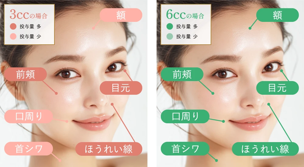 適応部位