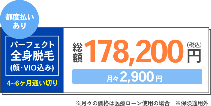 都度払いあり パーフェクト全身脱毛（顔・VIO込み）