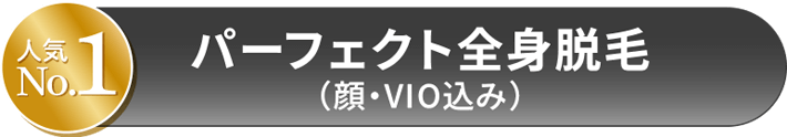 パーフェクト全身脱毛（顔・VIO込み）