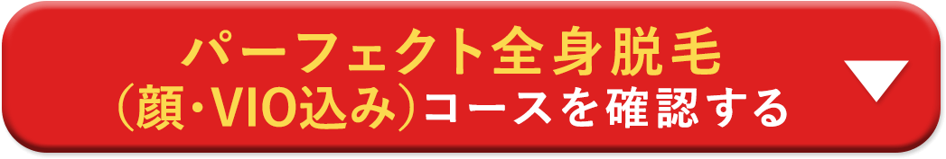 パーフェクト全身脱毛（顔・VIO込み）