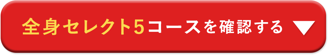 全身セレクト5