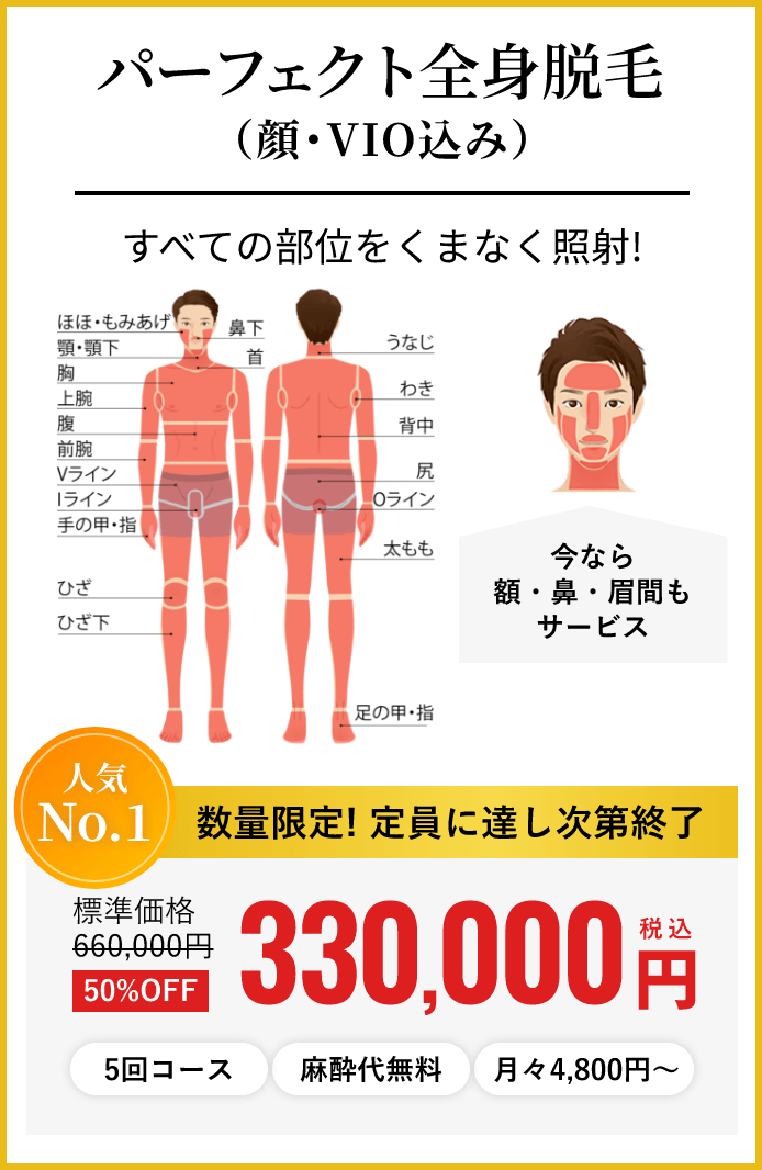 パーフェクト全身脱毛（顔・VIO込）