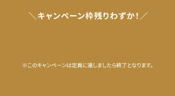 キャンペーン枠残りわずか！