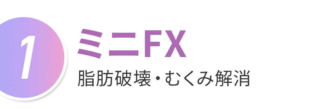 ミニFX
