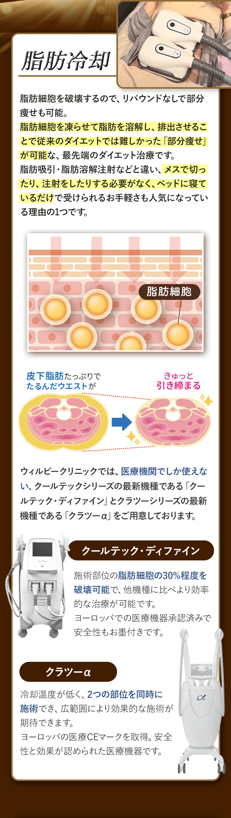 脂肪冷却