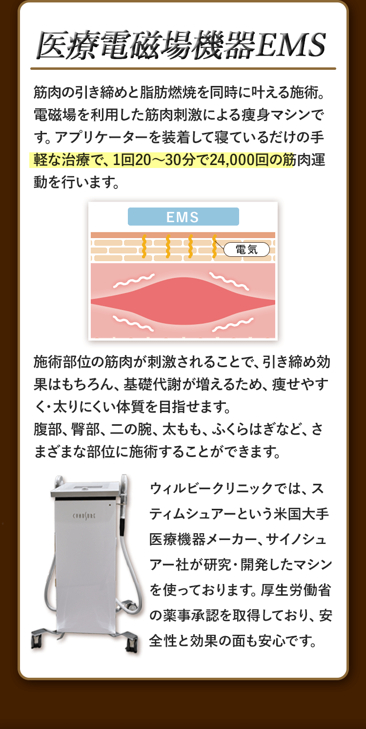 医療電磁場機器EMS